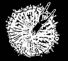 logo Destructive Explosion Of Anal Garland